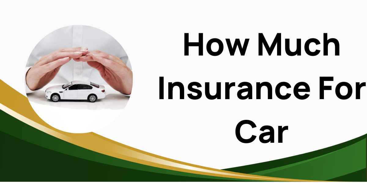 How Much Insurance For Car