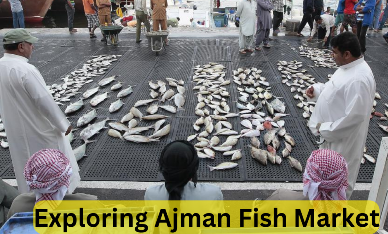 Exploring Ajman Fish Market